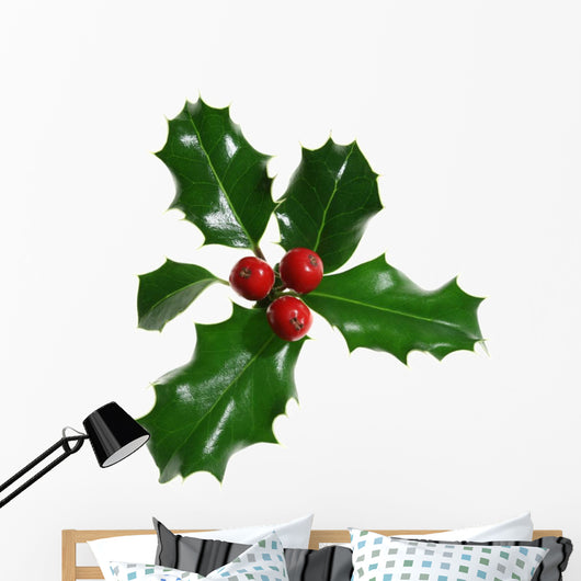 Holly Isolated on White Wall Decal