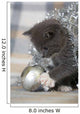 Grey Kitten Playing with