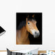 Pony Head Shot Wall Mural