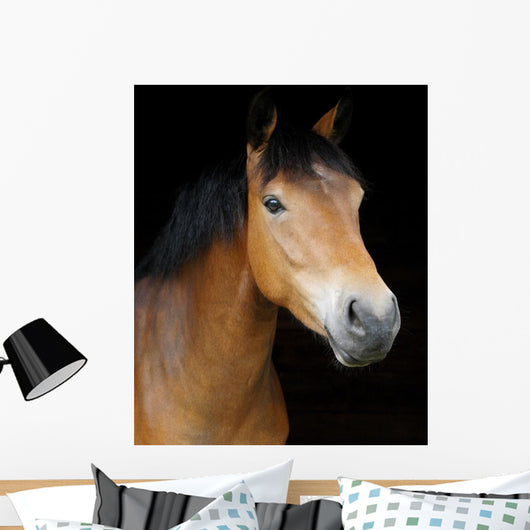 Pony Head Shot Wall Mural