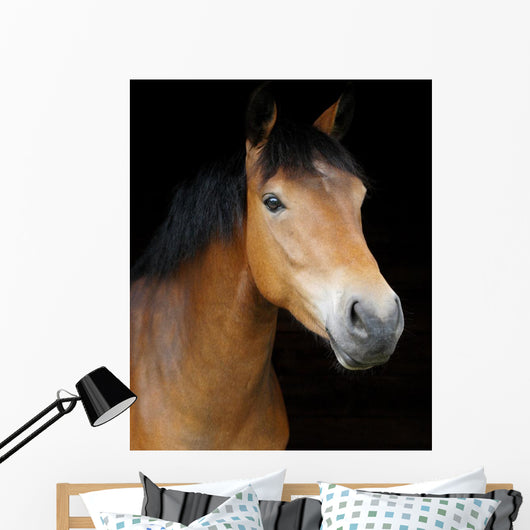 Pony Head Shot Wall Mural