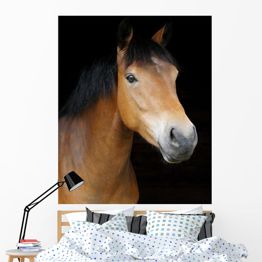 Pony Head Shot Wall Mural