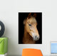Pony Head Shot
