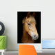 Pony Head Shot