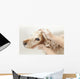 Bathroom to Dog