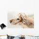 Bathroom to Dog