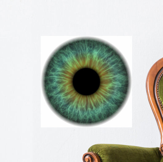 Pupil