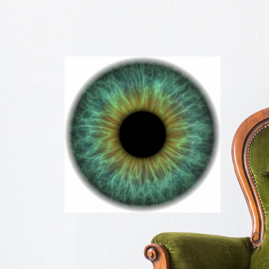 Pupil