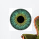 Pupil