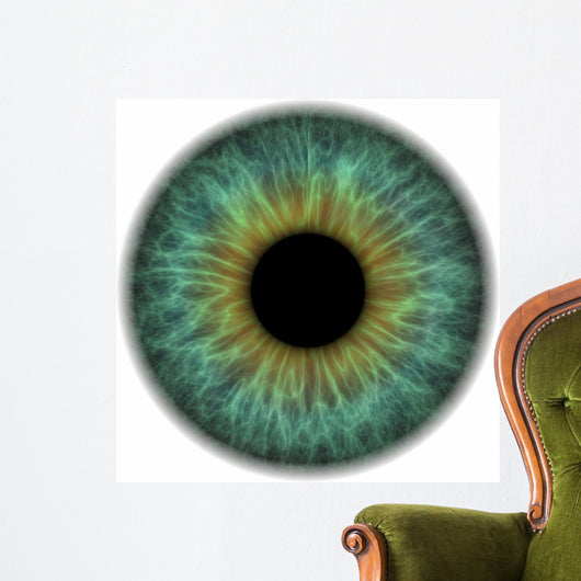 Pupil