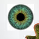 Pupil