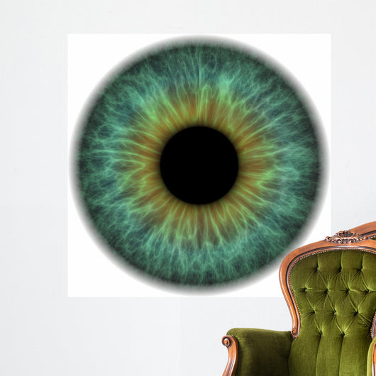 Pupil