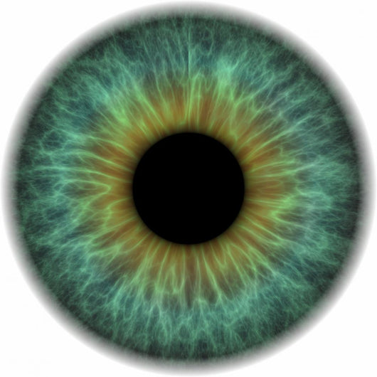 Pupil