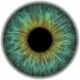 Pupil
