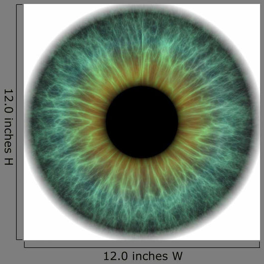 Pupil