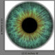 Pupil