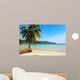 Beautiful Palm Tree Tropical Wall Mural