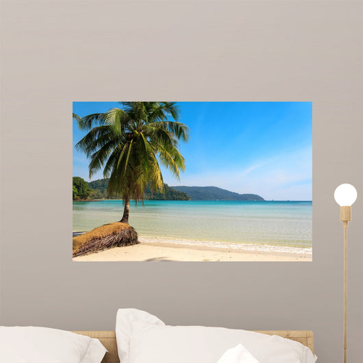 Beautiful Palm Tree Tropical Wall Mural