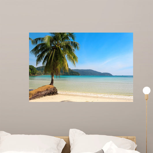 Beautiful Palm Tree Tropical Wall Mural