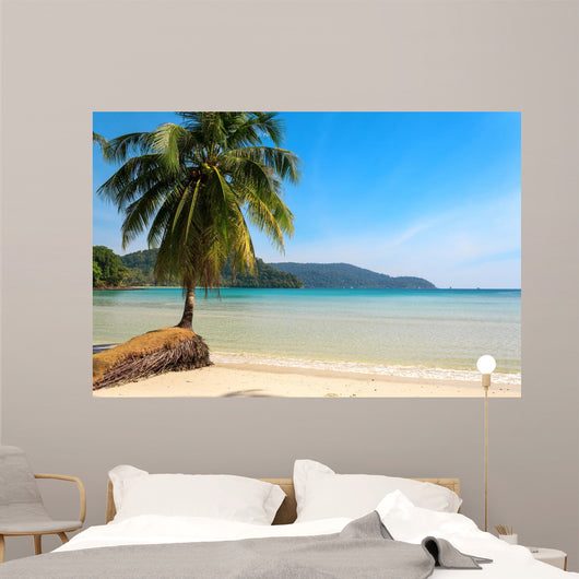 Beautiful Palm Tree Tropical Wall Mural
