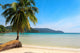 Beautiful Palm Tree Tropical Wall Mural