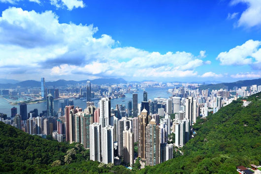 Hong Kong Skyline and Wall Decal