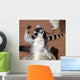 Im Strongring Tailed Lemur Wall Mural
