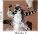 Im Strongring Tailed Lemur Wall Mural