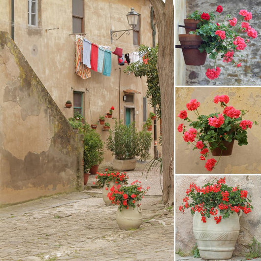 Italian Style Backyard Collage Wall Mural