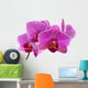 Purple orchid flower Wall Decal