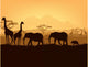 African Animals Silhouettes Sunset Wall Mural