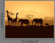 African Animals Silhouettes Sunset Wall Mural