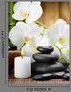 Spa Concept