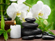 Spa Concept
