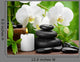 Spa Concept
