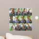 butterfly Collection Wall Mural