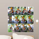 butterfly Collection Wall Mural