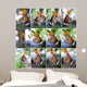 butterfly Collection Wall Mural