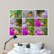 butterfly Collection Wall Mural