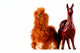 Toy Llamas with Real
