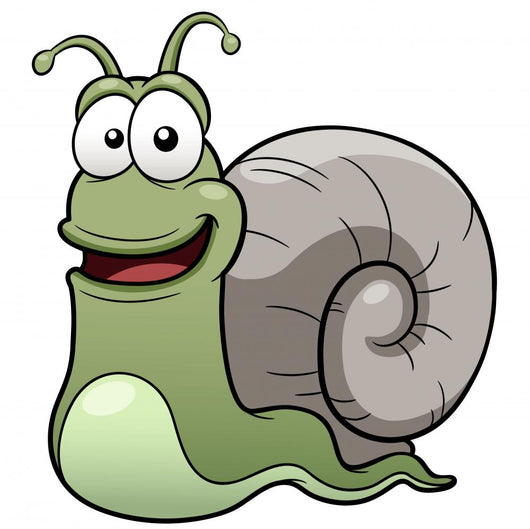 Vector illustration of snail cartoon Wall Decal