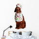 Irish Red Setter Dog in the Culinary Hat Wall Decal