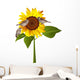 Sunflower Wall Decal