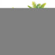 Floral Hintergrund Palmen Wall Mural