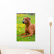 Rhodesian Ridgeback Spring Flowers Wall Mural