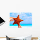 Star fish Wall Mural