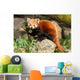 Red Panda Firefox or