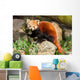 Red Panda Firefox or