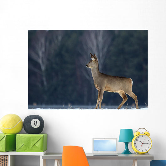 Roe Wall Mural