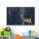 Roe Wall Mural
